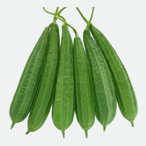 Organic Ridge Gourd